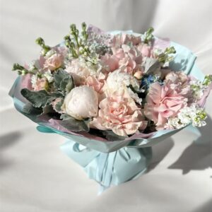 Pastel dream