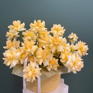 Sunbloom