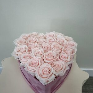Pink Rose