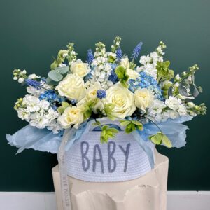 Blue Skies Baby Bloom
