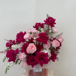 Pink Velvet Symphony