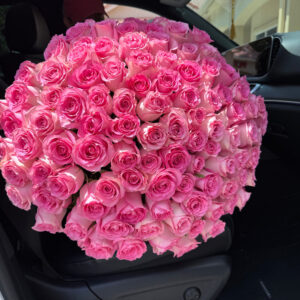Royal Pink